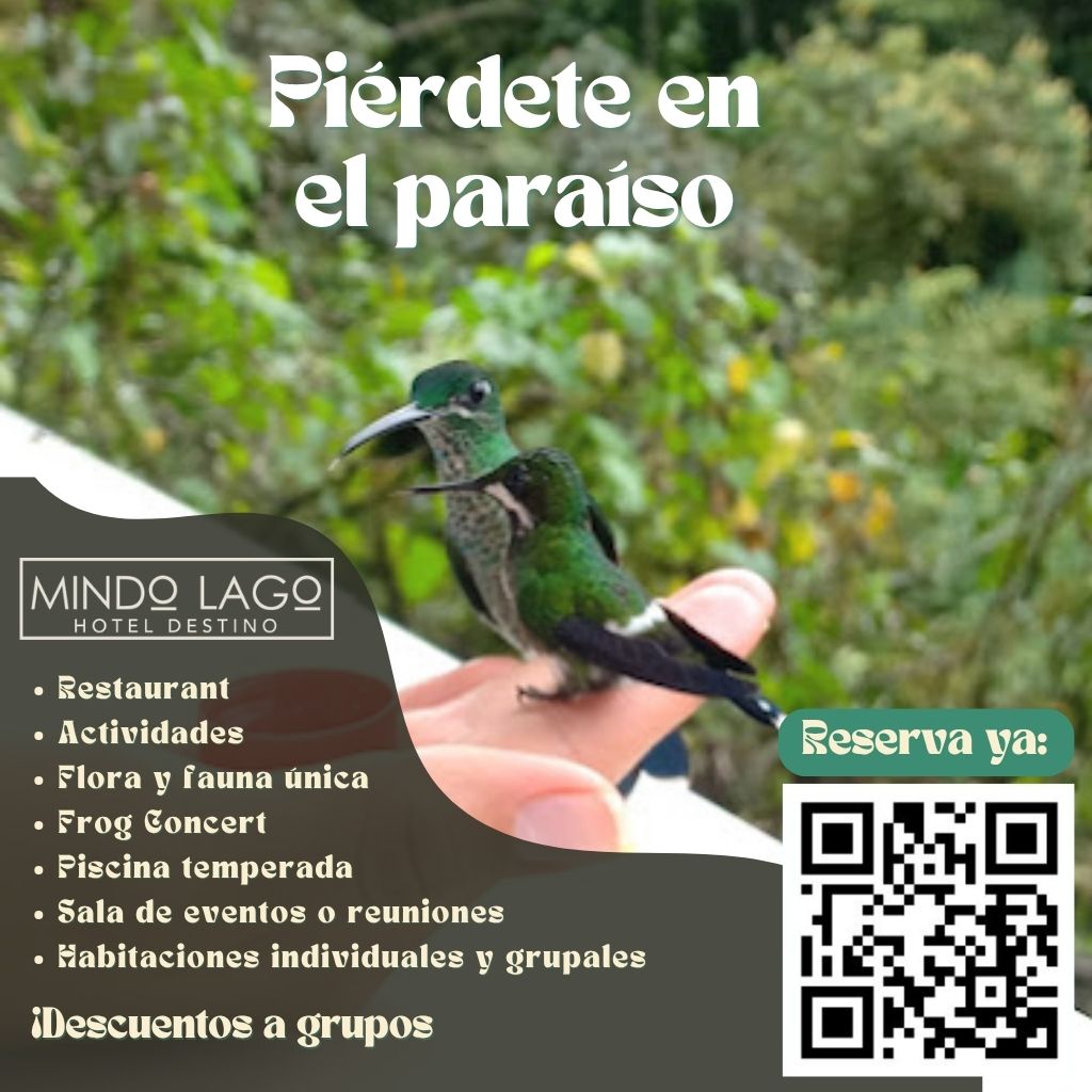 Mindo cloud forest – Mindo Lago Ecuador